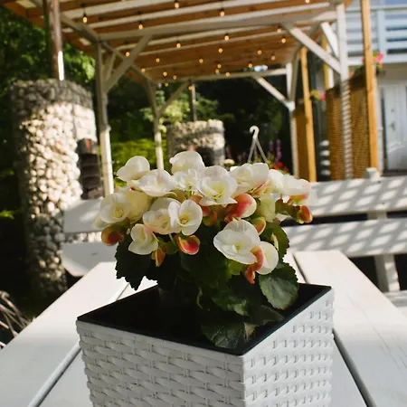 Belatrix Nad Baltykiem Апартаменты *