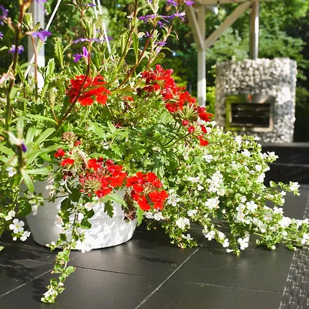 Belatrix Nad Baltykiem Мельно