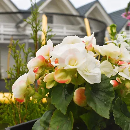 Апартаменты Belatrix Nad Baltykiem *