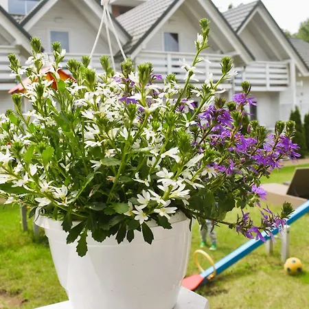 Belatrix Nad Baltykiem Apartamento Mielno (Koszalin)