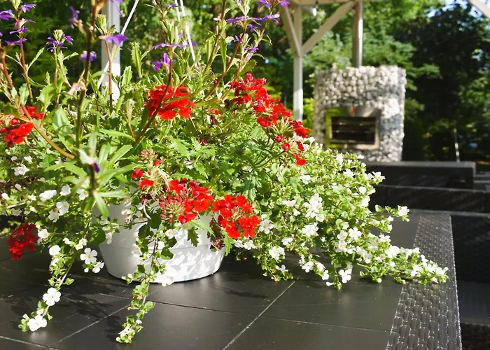 Belatrix Nad Baltykiem Мельно