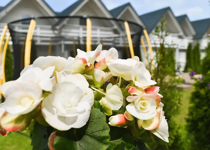 Belatrix Nad Baltykiem Апартаменты