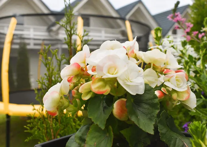 Апартаменты Belatrix Nad Baltykiem *