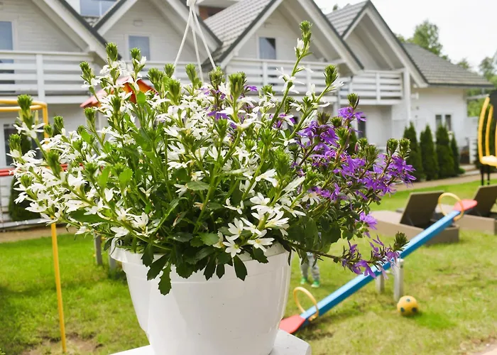 Belatrix Nad Baltykiem Daire Mielno (Koszalin)